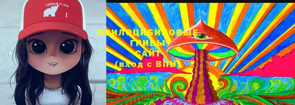 тгк Новозыбков