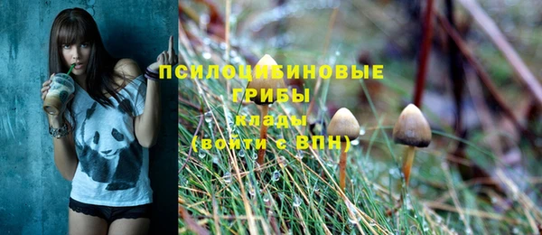 тгк Новозыбков